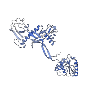 29043_8ffi_M_v1-1
Structure of tetramerized MapSPARTA upon guide RNA-mediated target DNA binding