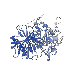 29043_8ffi_N_v1-1
Structure of tetramerized MapSPARTA upon guide RNA-mediated target DNA binding