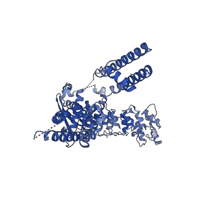 29046_8ffl_A_v1-1
Wildtype rat TRPV2 in nanodiscs bound to RR