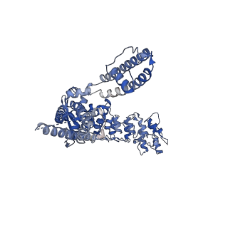 29047_8ffm_A_v1-1
Wildtype rat TRPV2 in nanodiscs bound to RR and 2-APB