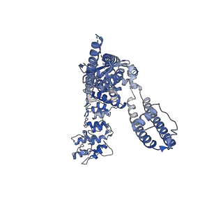 29047_8ffm_B_v1-1
Wildtype rat TRPV2 in nanodiscs bound to RR and 2-APB