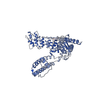 29047_8ffm_C_v1-1
Wildtype rat TRPV2 in nanodiscs bound to RR and 2-APB