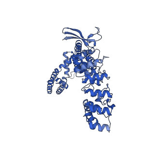 29048_8ffn_B_v1-1
RR-bound wildtype rabbit TRPV5 in nanodiscs