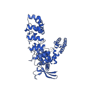 29048_8ffn_D_v1-1
RR-bound wildtype rabbit TRPV5 in nanodiscs