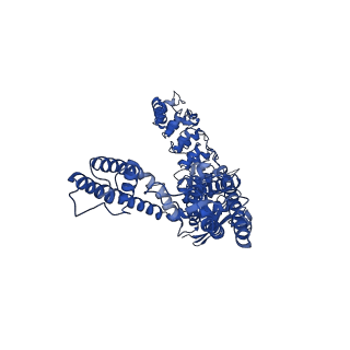 29049_8ffo_A_v1-0
Cryo-EM structure of wildtype rabbit TRPV5 with PI(4,5)P2 in nanodiscs
