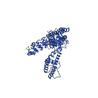29049_8ffo_B_v1-0
Cryo-EM structure of wildtype rabbit TRPV5 with PI(4,5)P2 in nanodiscs