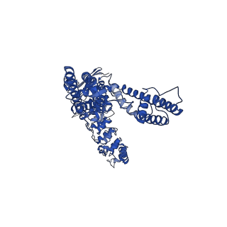 29049_8ffo_C_v1-0
Cryo-EM structure of wildtype rabbit TRPV5 with PI(4,5)P2 in nanodiscs