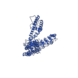 29049_8ffo_D_v1-0
Cryo-EM structure of wildtype rabbit TRPV5 with PI(4,5)P2 in nanodiscs