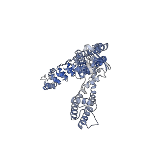 29051_8ffq_A_v1-1
Wildtype rabbit TRPV5 into nanodiscs in the presence of PI(4,5)P2 and ruthenium red