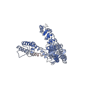 29051_8ffq_B_v1-1
Wildtype rabbit TRPV5 into nanodiscs in the presence of PI(4,5)P2 and ruthenium red