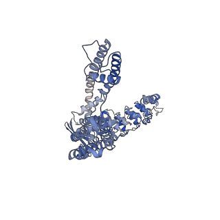 29051_8ffq_C_v1-1
Wildtype rabbit TRPV5 into nanodiscs in the presence of PI(4,5)P2 and ruthenium red