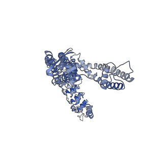 29051_8ffq_D_v1-1
Wildtype rabbit TRPV5 into nanodiscs in the presence of PI(4,5)P2 and ruthenium red