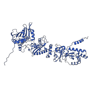 29068_8ffv_A_v1-3
Cryo-EM structure of the GR-Hsp90-FKBP52 complex