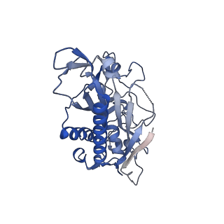 29070_8ffy_A_v1-0
Cryo-electron microscopy structure of human mt-SerRS in complex with mt-tRNA(UGA-TL)