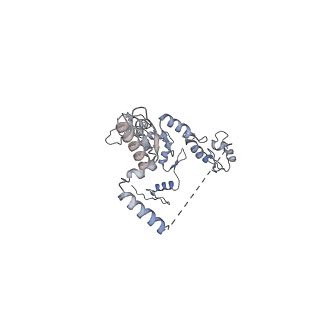 29071_8ffz_A_v1-2
TFIIIA-TFIIIC-Brf1-TBP complex bound to 5S rRNA gene