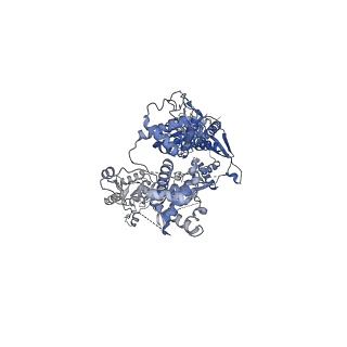 29071_8ffz_B_v1-2
TFIIIA-TFIIIC-Brf1-TBP complex bound to 5S rRNA gene