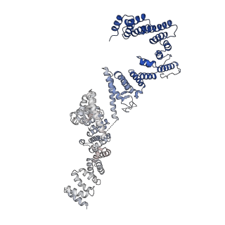 29071_8ffz_C_v1-2
TFIIIA-TFIIIC-Brf1-TBP complex bound to 5S rRNA gene