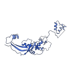 29071_8ffz_D_v1-2
TFIIIA-TFIIIC-Brf1-TBP complex bound to 5S rRNA gene