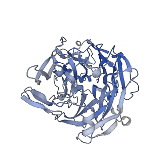 29071_8ffz_E_v1-2
TFIIIA-TFIIIC-Brf1-TBP complex bound to 5S rRNA gene