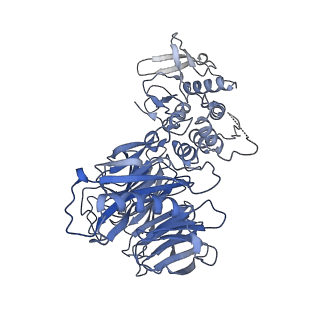29071_8ffz_F_v1-2
TFIIIA-TFIIIC-Brf1-TBP complex bound to 5S rRNA gene