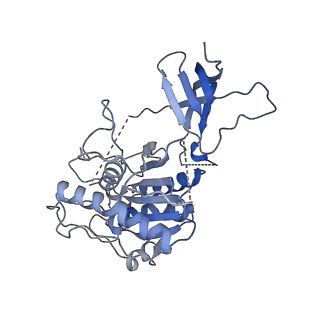 29071_8ffz_G_v1-2
TFIIIA-TFIIIC-Brf1-TBP complex bound to 5S rRNA gene