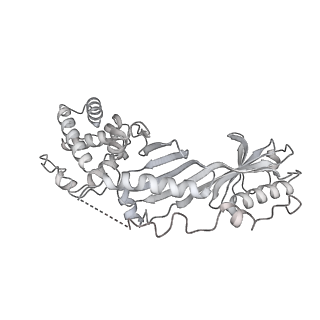 29071_8ffz_H_v1-2
TFIIIA-TFIIIC-Brf1-TBP complex bound to 5S rRNA gene
