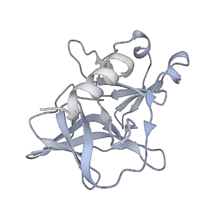 31567_7fff_A_v1-1
Structure of Venezuelan equine encephalitis virus with the receptor LDLRAD3