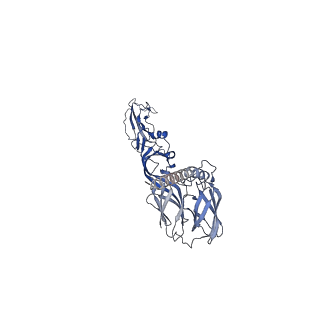 31567_7fff_B_v1-1
Structure of Venezuelan equine encephalitis virus with the receptor LDLRAD3