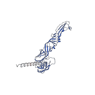 31567_7fff_C_v1-1
Structure of Venezuelan equine encephalitis virus with the receptor LDLRAD3