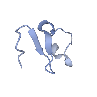 31567_7fff_E_v1-1
Structure of Venezuelan equine encephalitis virus with the receptor LDLRAD3