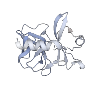 31567_7fff_F_v1-1
Structure of Venezuelan equine encephalitis virus with the receptor LDLRAD3