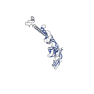 31567_7fff_J_v1-1
Structure of Venezuelan equine encephalitis virus with the receptor LDLRAD3