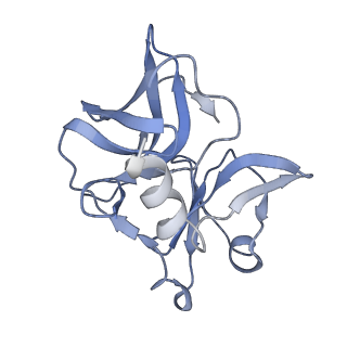 31567_7fff_K_v1-1
Structure of Venezuelan equine encephalitis virus with the receptor LDLRAD3