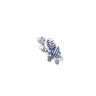 31567_7fff_Q_v1-1
Structure of Venezuelan equine encephalitis virus with the receptor LDLRAD3