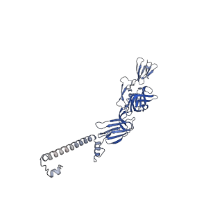 31567_7fff_R_v1-1
Structure of Venezuelan equine encephalitis virus with the receptor LDLRAD3