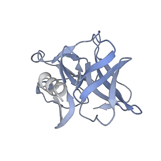 31567_7fff_S_v1-1
Structure of Venezuelan equine encephalitis virus with the receptor LDLRAD3