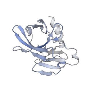 31571_7ffq_A_v1-1
Cryo-EM structure of VEEV VLP at the 2-fold axes