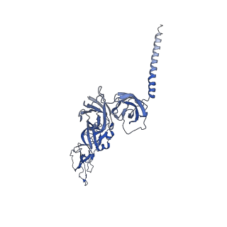 31571_7ffq_B_v1-1
Cryo-EM structure of VEEV VLP at the 2-fold axes