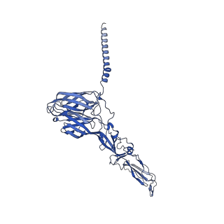 31571_7ffq_C_v1-1
Cryo-EM structure of VEEV VLP at the 2-fold axes