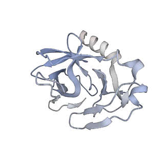 31571_7ffq_F_v1-1
Cryo-EM structure of VEEV VLP at the 2-fold axes