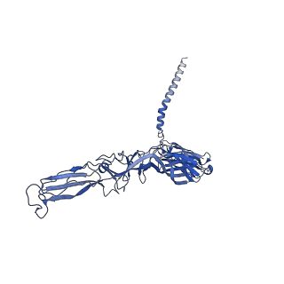 31571_7ffq_G_v1-1
Cryo-EM structure of VEEV VLP at the 2-fold axes