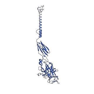 31571_7ffq_R_v1-1
Cryo-EM structure of VEEV VLP at the 2-fold axes