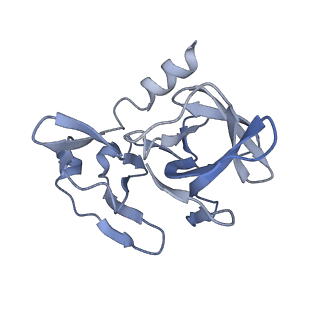 31571_7ffq_S_v1-1
Cryo-EM structure of VEEV VLP at the 2-fold axes