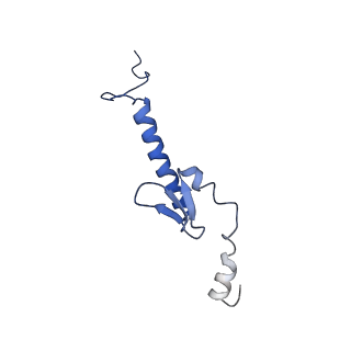 4255_6ff4_7_v1-0
human Bact spliceosome core structure