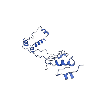 4255_6ff4_8_v1-0
human Bact spliceosome core structure