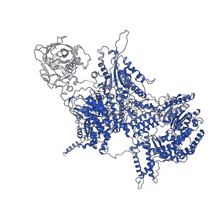 4255_6ff4_A_v1-0
human Bact spliceosome core structure