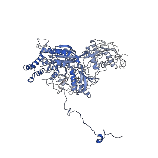 4255_6ff4_B_v1-0
human Bact spliceosome core structure
