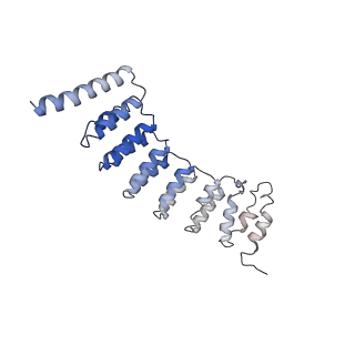 4255_6ff4_O_v1-0
human Bact spliceosome core structure