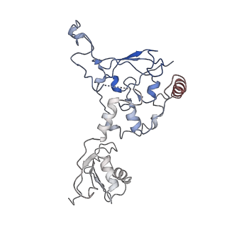 4255_6ff4_P_v1-0
human Bact spliceosome core structure