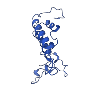 4255_6ff4_Q_v1-0
human Bact spliceosome core structure